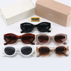 New hot 5-color sunglasses  4255