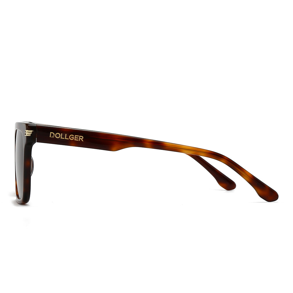 Dollger Square  Hipster Acetate Square Tinted Sunglasses