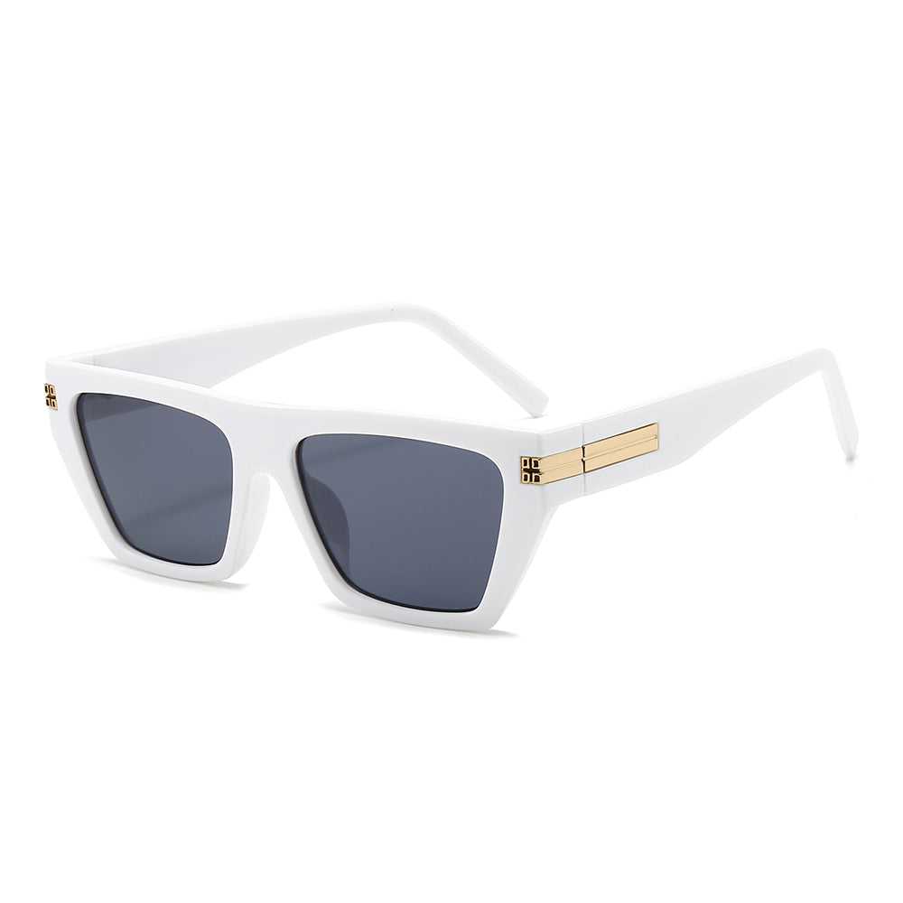 Dollger Thick Geek-Chic Geometric Tinted Sunglasses