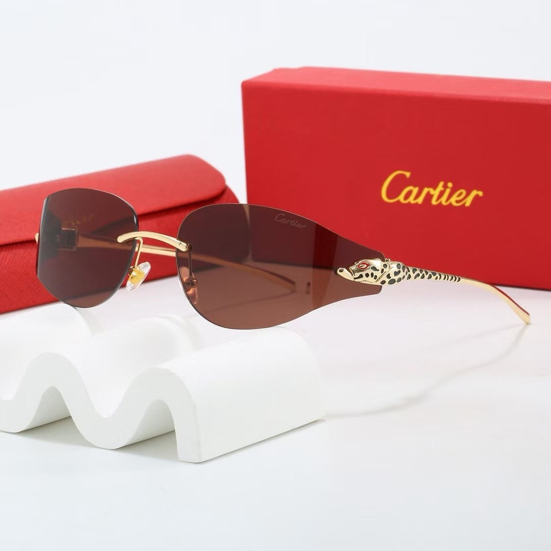 5 colors fashion sunglasses 2505